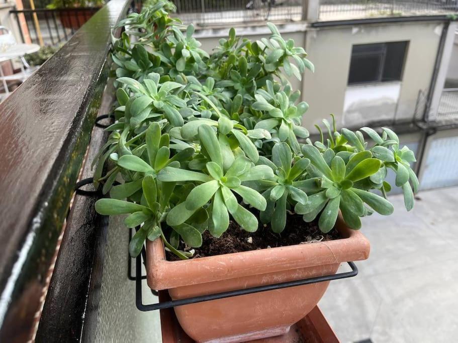 Appartamento Spazioso In Centro Piacenza Ngoại thất bức ảnh